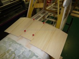 Canopy (104)